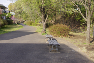 長津田みなみ台緑道のベンチ2