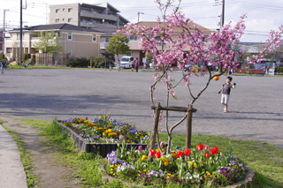 長津田宮ノ前第二公園の花壇