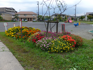 長津田宮ノ前第二公園の花壇2