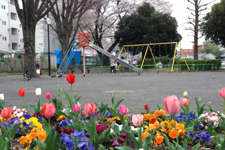 長津田柳下公園の花壇と遊具