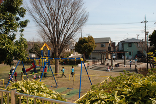 長津田公園の遊具全体