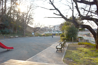 長津田第三公園の広場