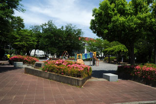 中丸公園の花壇
