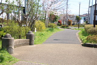 中山北緑道の歩道