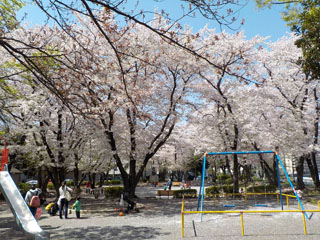 中山駅北第一公園のブランコ