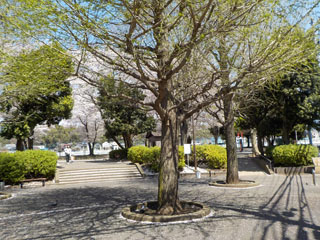 中山駅北第一公園の広場2