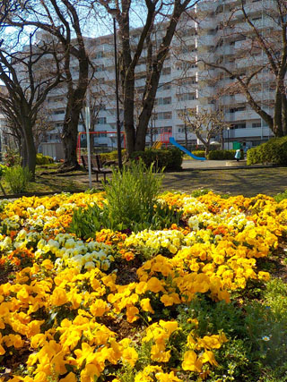 中山駅北第二公園の花壇と広場