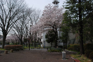 中山谷第二公園の広場