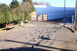 西八朔第二公園の広場