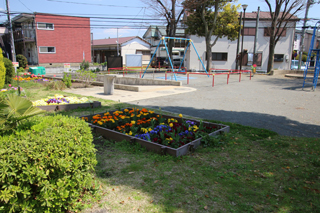 落合公園の花壇