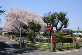 大上第一公園の外観