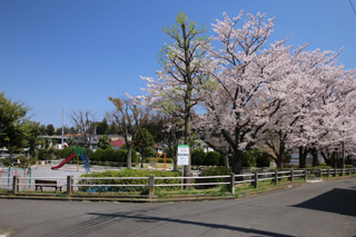 大上第一公園の外観2
