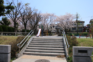 大上第一公園の階段