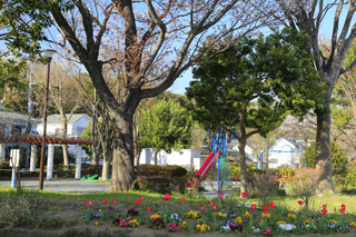 笹山公園の花壇