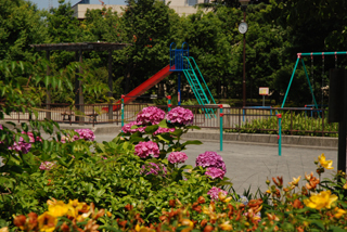杉山原公園の滑り台