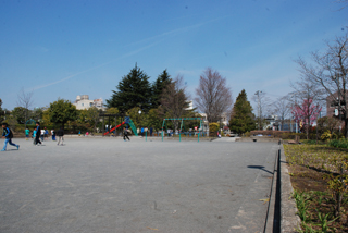 杉山原公園の広場