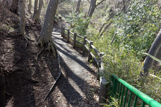竹山南公園の小道