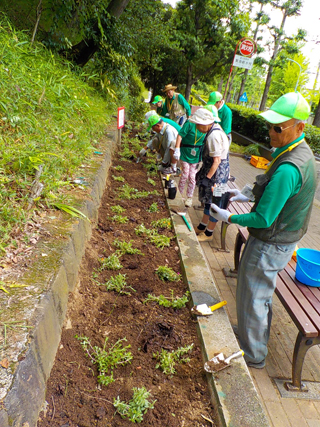 竹山中公園の愛護会