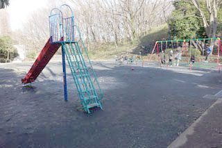 竹山中公園の遊具