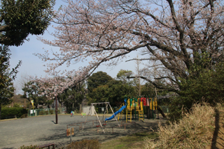 竹山一丁目東公園の広場と遊具2