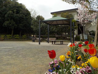 竹山一丁目西公園の広場とベンチ