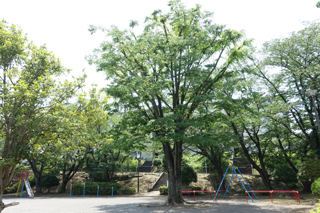 竹山二丁目南公園の広場