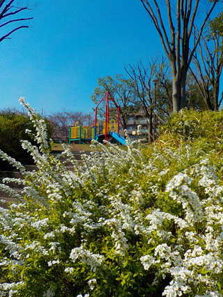 十日市場公園の滑り台と花