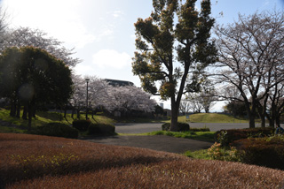 十日市場公園の全体