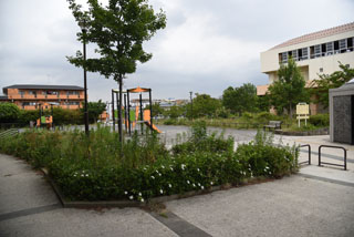 十日市場だんご山公園の花壇