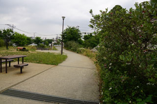 十日市場だんご山公園の歩道2