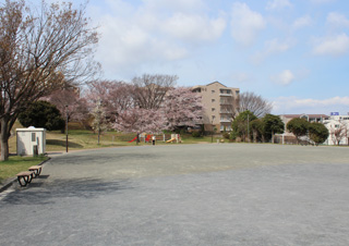 十日市場東公園の広場