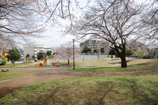 十日市場東公園の広場と遊具