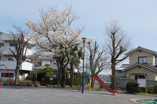 十日市場日向山公園の滑り台