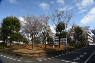 十日市場石田公園の外観