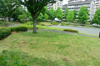 十日市場南公園の芝生広場