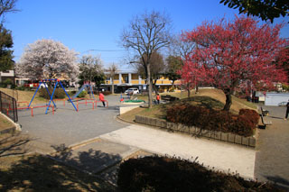 十日市場中里公園の遊具
