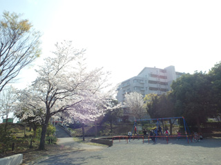 十日市場西公園のグラウンド2