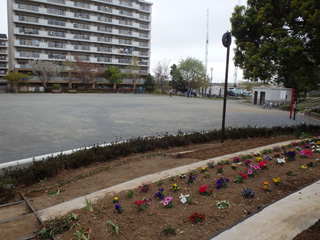 十日市場西公園の花壇