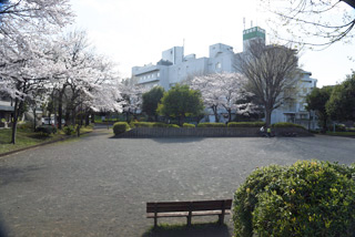 十日市場西田公園の広場全体