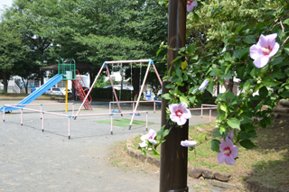 十日市場神明下公園の遊具と花
