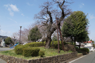 十日市場神明下公園の外観