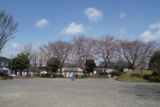 十日市場神明下公園の広場全体2