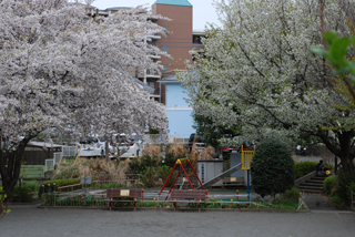 東向地公園の広場と遊具