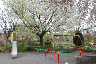 東向地公園のブランコと滑り台