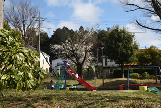 作場公園の滑り台