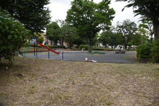 作場公園の広場