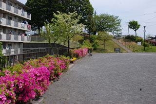 上の原公園の花壇と広場