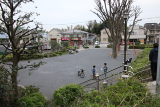 谷津田原公園の広場全体