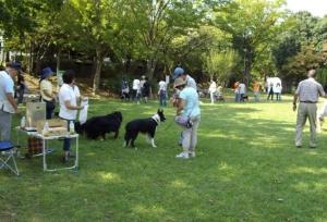 犬のしつけ教室