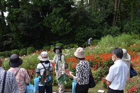 見学